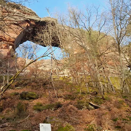 ベッド・アンド・ブレックファスト Chez Anny Et Jean Au Mittelbuehl,reichshoffen,pays De Niederbronn Les Bains 3*