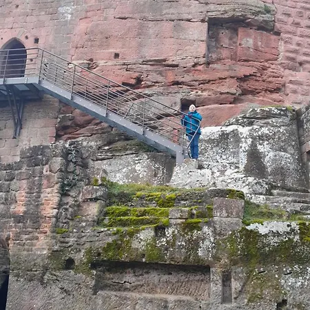 ベッド・アンド・ブレックファスト Chez Anny Et Jean Au Mittelbuehl,reichshoffen,pays De Niederbronn Les Bains Reichshoffen