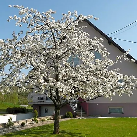Panzió Chez Anny Et Jean Au Mittelbuehl,reichshoffen,vosges Du Nord