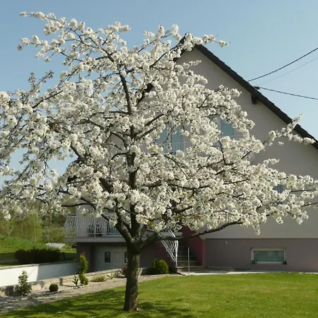 Chez Anny Et Jean Au Mittelbuehl,reichshoffen,vosges Du Nord Panzió Reichshoffen