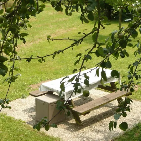 ベッド・アンド・ブレックファスト Chez Anny Et Jean Au Mittelbuehl,reichshoffen,pays De Niederbronn Les Bains Reichshoffen